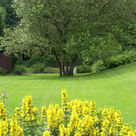 Farm Stay Heidehof Hellenthal Dış mekan fotoğraf