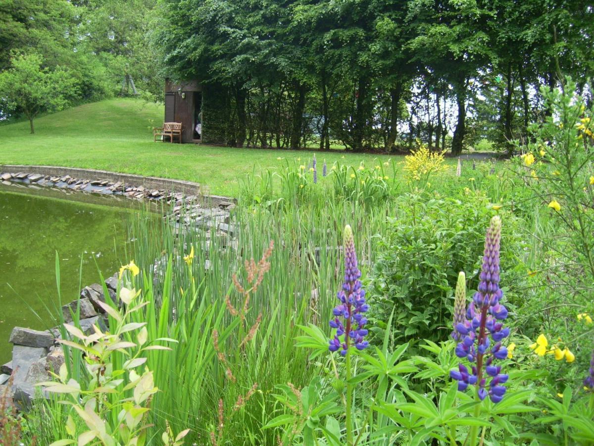 Farm Stay Heidehof Hellenthal Dış mekan fotoğraf