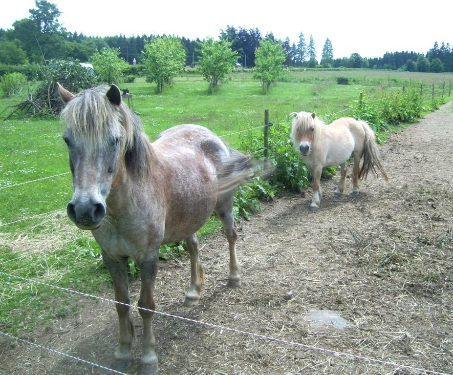 Farm Stay Heidehof Hellenthal Dış mekan fotoğraf