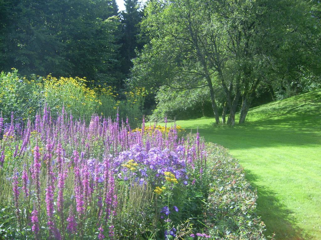 Farm Stay Heidehof Hellenthal Dış mekan fotoğraf