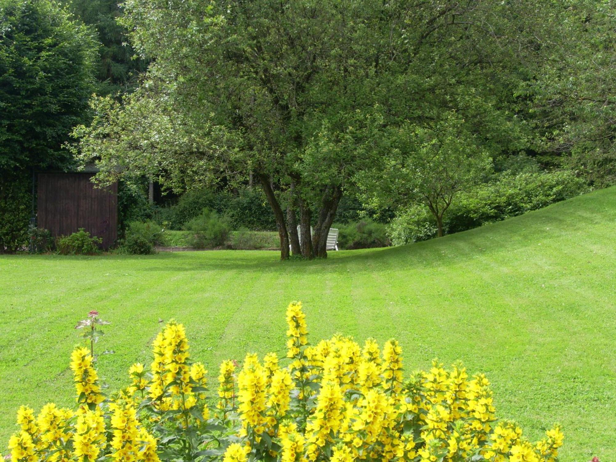 Farm Stay Heidehof Hellenthal Dış mekan fotoğraf